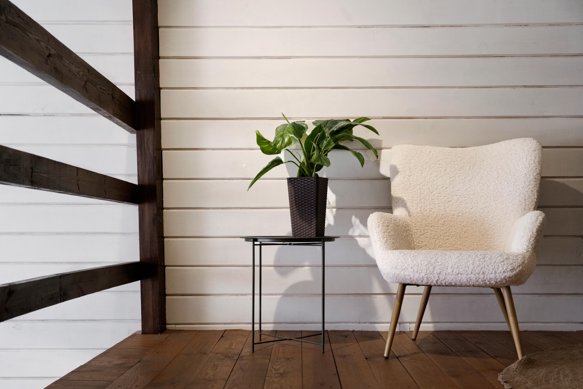 Chair and plant